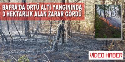 Bafra 'da Çıkan örtü altı yangınında 3 hektarlık Alan Zarar Gördü