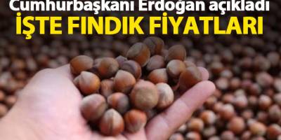 Fındık fiyatı ne kadar?