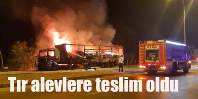 Seyir Halindeki TIR bir Anda Alev Topuna Döndü