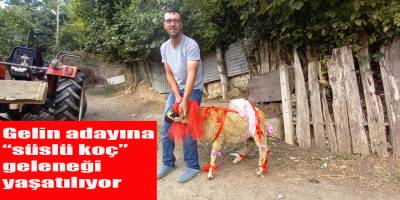 Bafra'da gelin adayına "süslü koç" geleneği yaşatılıyor