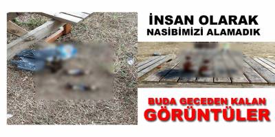 İnsan Olarak Nasibimizi Hala Alamadık