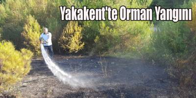 Çam gölünde Orman Yangını