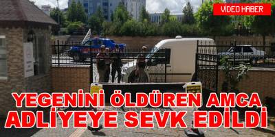 Yegenini Öldüren Kişi Adliyeye Sevk Edildi