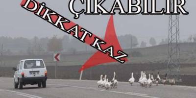 Kazlar Trafiği Tehlikeye Sokuyor