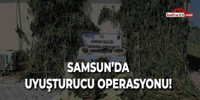 Samsun'da Uyuşturucu Operasyonu!