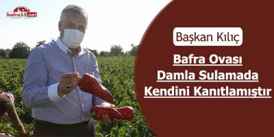 Bafra Ovası'nda damla sulama yönetimiyle üretim