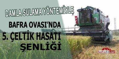 Bafra Ovası'nda 5. Çeltik Hasat Şenliği gerçekleştirildi.