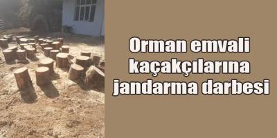 Bafra'da Orman kaçakçıları operasyon