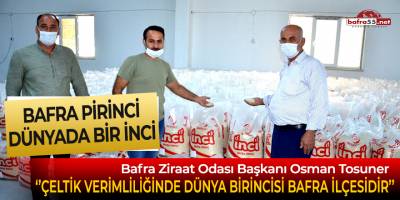 Bafra pirinci dünyada bir inci