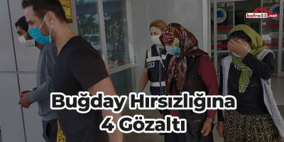 Buğday hırsızlığına 4 gözaltı