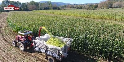 Sinoplu çiftçiler silaj yapımına başladı