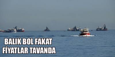BALIK BOL FAKAT FİYATLAR TAVANDA