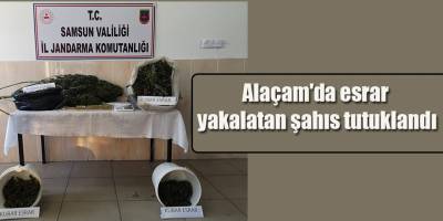 Alaçam'da esrar yakalatan şahıs tutuklandı