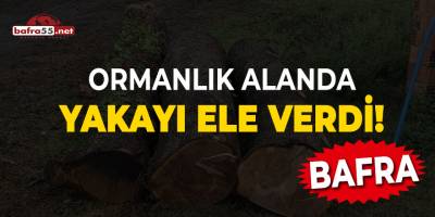 Bafra'da ormanlık alanda yakayı ele verdi!