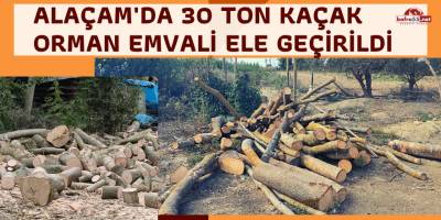 Alaçam'da 30 Ton Kaçak Orman Emvali Ele Geçirildi