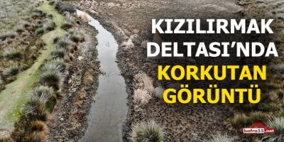 Kızılırmak Deltası'nda korkutan görüntü