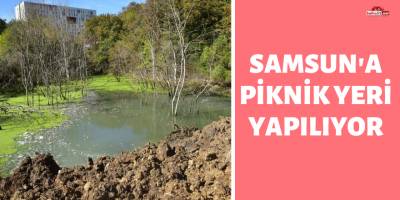 OMÜ’de Bataklığa Dönüşen Alan Piknik Yeri Yapılıyor