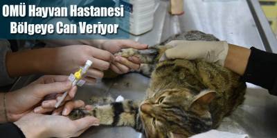 OMÜ Hayvan Hastanesi Bölgeye Can Veriyor