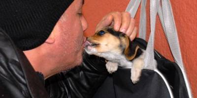 DUVARA ASILI ÇANTADAKİ KÖPEK İLGİ ODAĞI OLDU