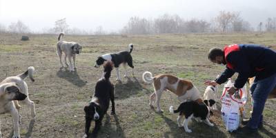 BAŞKAN DEMİRTAŞ CAN DOSTLARINI UNUTMADI