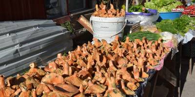 Kanlıca mantarı pazarda yerini aldı