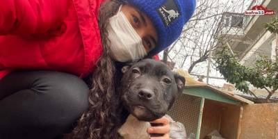 Sokakta bulduğu köpeği ölümden kurtardı