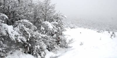 Samsun'da Köylerde beyaz esaret