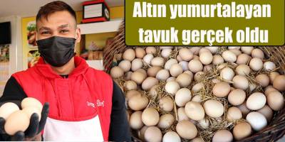Altın yumurtalayan tavuk gerçek oldu