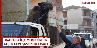 İlçe merkezinden geçen deve şaşkınlık yaşattı