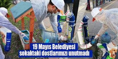19 Mayıs Belediyesi sokaktaki dostlarımızı unutmadı