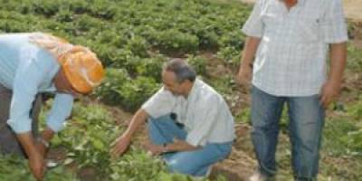 Yakakent Ziraat Odası'na 15 Bin TL Ceza