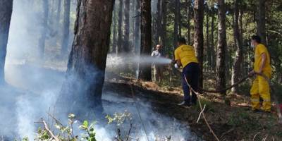 Çöp Yakarken Ağaçları Yakıyordu