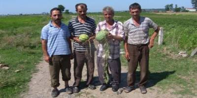 YAĞMUR BAFRA OVASI’NI VURDU