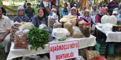 ALAÇAM’DA HASAT PANAYIRI