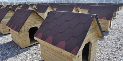 BAFRA’YA 5 BİN METREKARELİK HAYVAN BARINAĞI