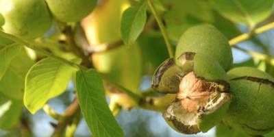 Yanlış seçim zaman ve para kaybı