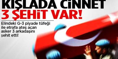 KIŞLADA CİNNET 3 ŞEHİT