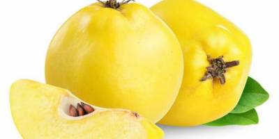 Eczane gibi meyve: ayva