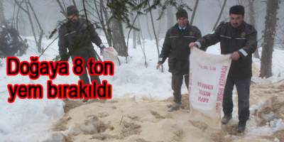 DOĞAYA 8 TON YEM BIRAKILDI