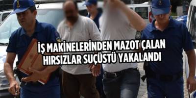 BAFRADA MAZOT HIRSIZLARI SUÇÜSTÜ YAKALANDI
