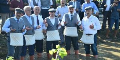 BAFRA’DA ÇELTİĞİN HİKAYESİNİN TANITIMI YAPILDI