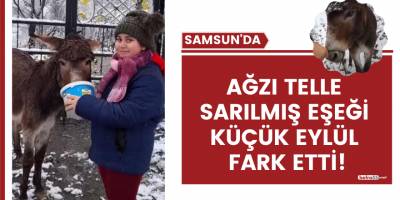 Vahşet;"Eşeği ölüme terk ettiler"