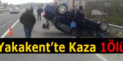 Yakakent'te Otomobilin Çarptığı Kadın Öldü