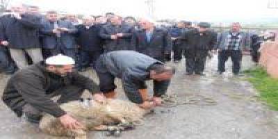 Akgüney Mahallesinden Kutsal Topraklara Yolculuk