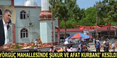 YÖRGÜÇ MAHALLESİNDE AFET KURBANI KESİLDİ