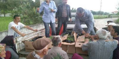 GÖKDER 7000 TIBBI VE AROMATİK BİTKİ FİDESİ DAĞITTI