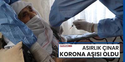 Samsun'da asırlık çınar korona aşısı oldu