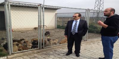 HAYVAN BARINAĞI HAKKINDAKİ İDDİALAR YALAN