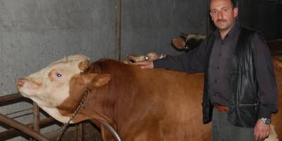 Doğan; “Karadeniz’de Irk ıslahı şart”