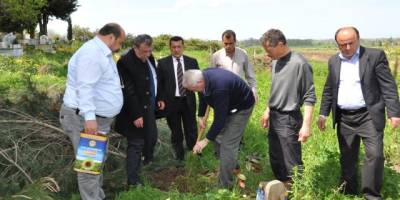 CHP’LİLER MEZARLIĞI AĞAÇLANDIRDI
